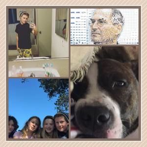 Meet your Posher, Harold